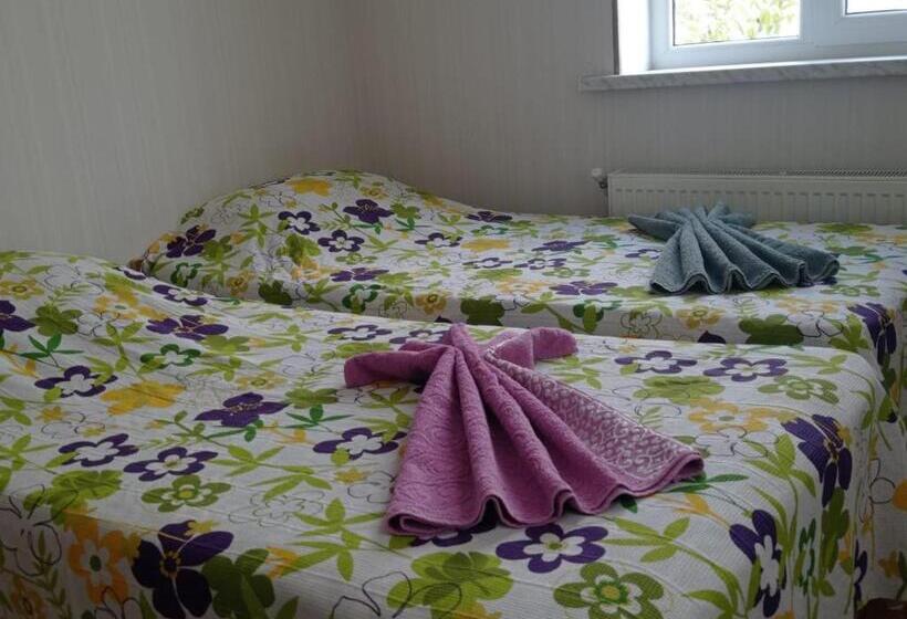 پانسیون Bizim Ev Hostel