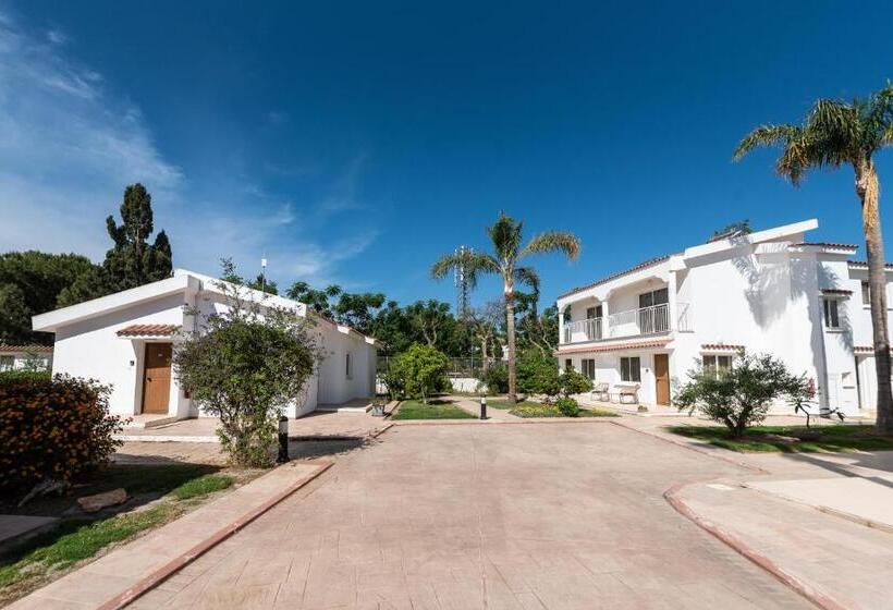 ペンション Fig Tree Z Holiday Resort