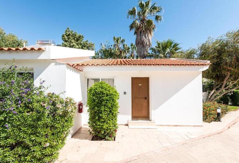 ペンション Fig Tree Z Holiday Resort