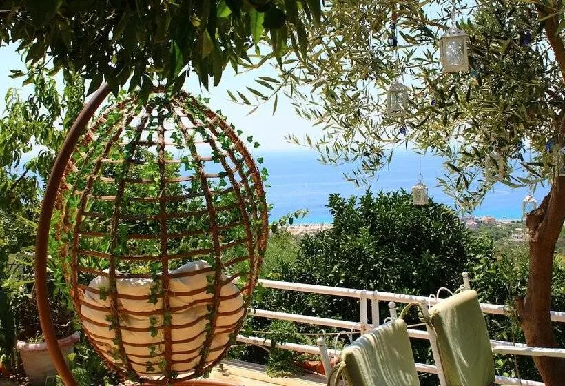 پانسیون Aphrodite S Garden