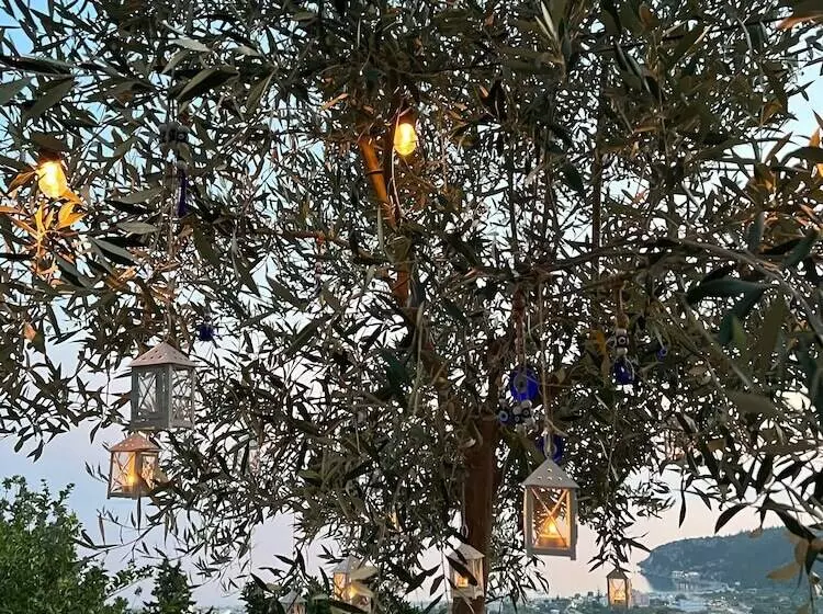 پانسیون Aphrodite S Garden