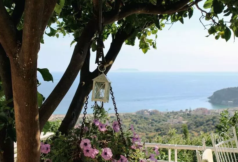 پانسیون Aphrodite S Garden