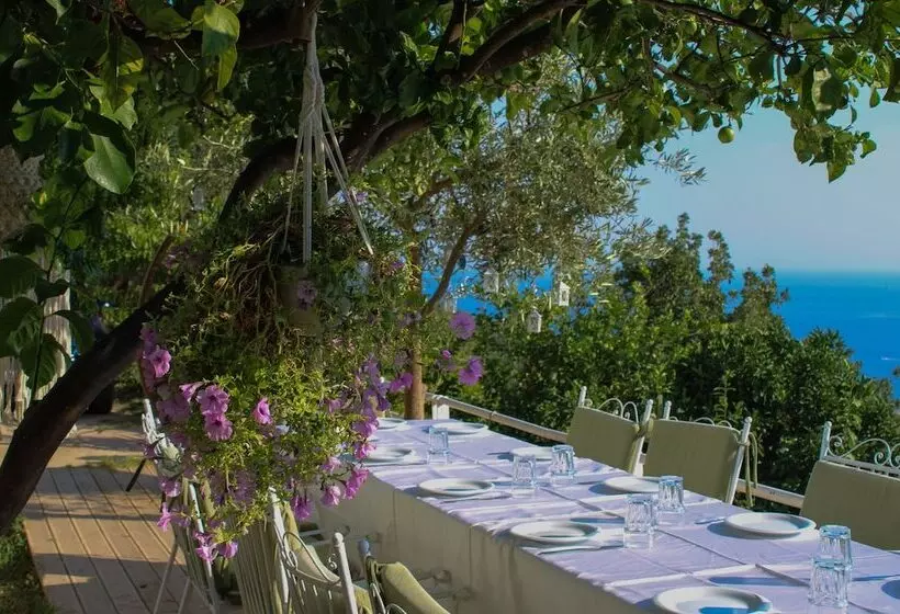 پانسیون Aphrodite S Garden