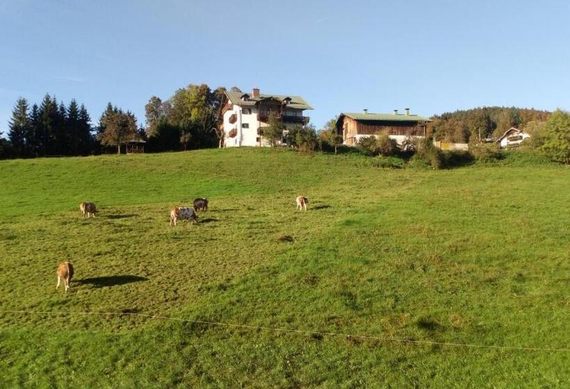 بنسيون Die Schlafende Goass   Pub Und Gästehaus