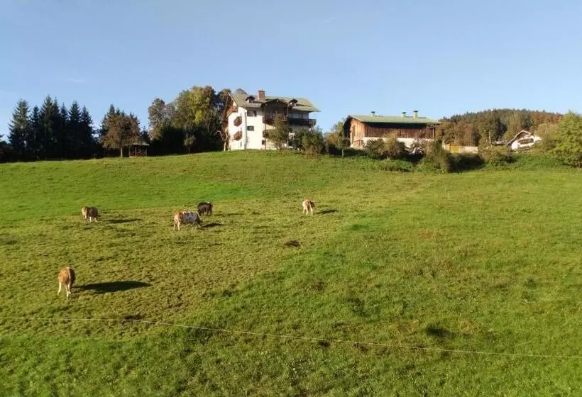 Majatalo Die Schlafende Goass   Pub Und Gästehaus