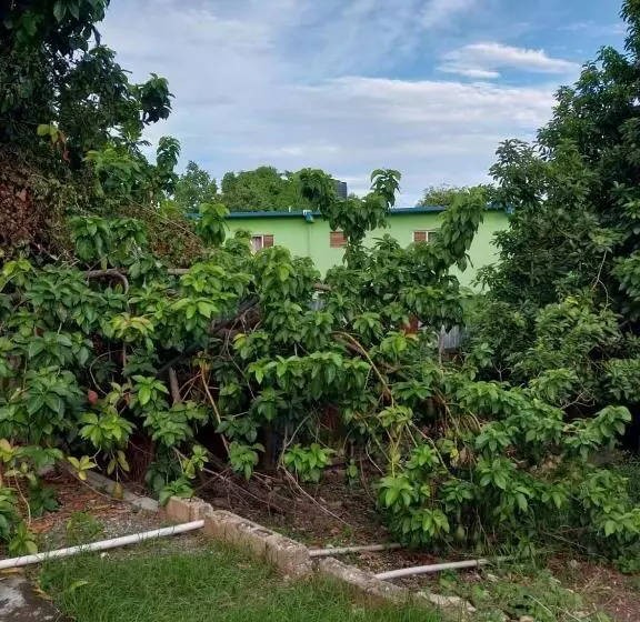 پانسیون Granann's Place