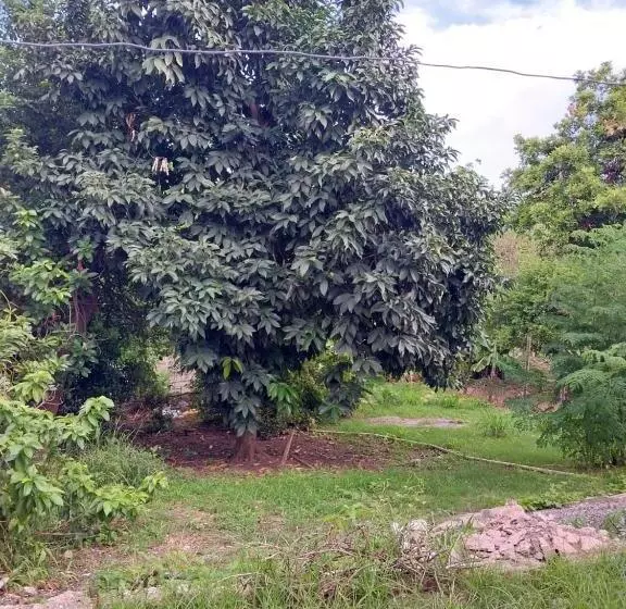 پانسیون Granann's Place