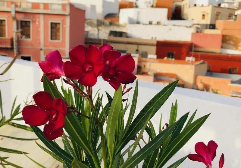 تختخواب و صبحانه Villa Nestor