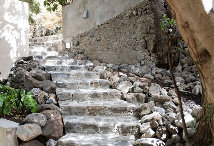 تختخواب و صبحانه Villa Nestor