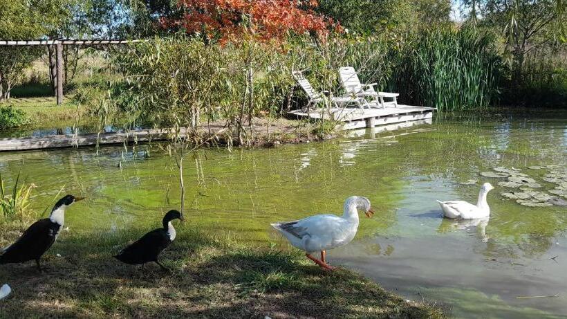 مبيت وإفطار El Tramway Casa Antigua De Campo
