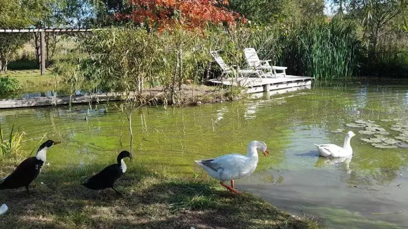 Aamiaismajoitus (B&B) El Tramway Casa Antigua De Campo