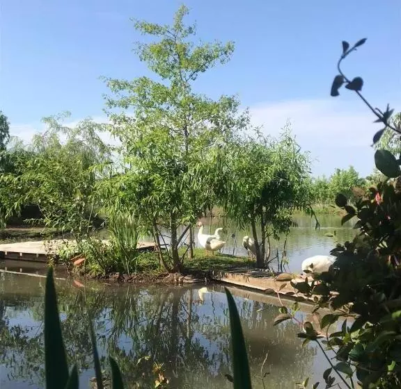 Aamiaismajoitus (B&B) El Tramway Casa Antigua De Campo