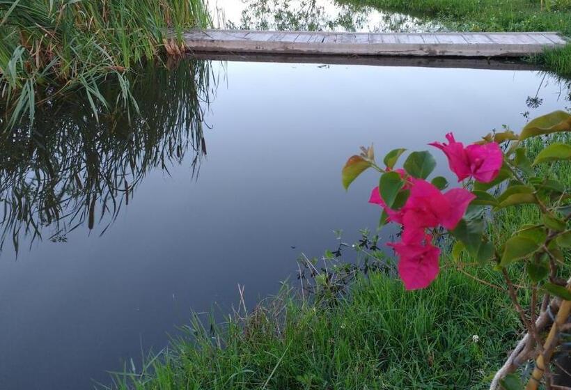 مبيت وإفطار El Tramway Casa Antigua De Campo