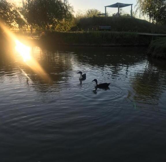 مبيت وإفطار El Tramway Casa Antigua De Campo