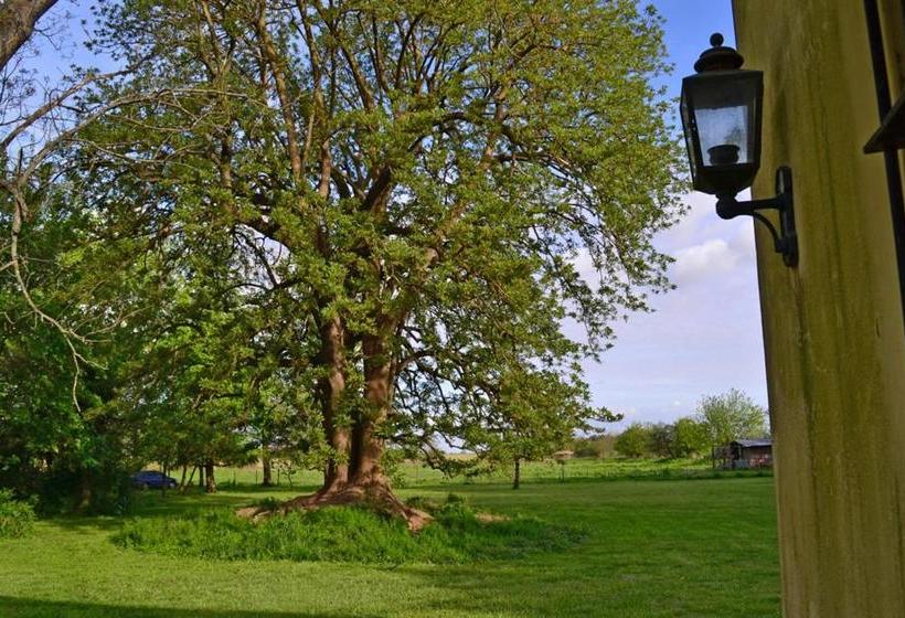 مبيت وإفطار El Tramway Casa Antigua De Campo