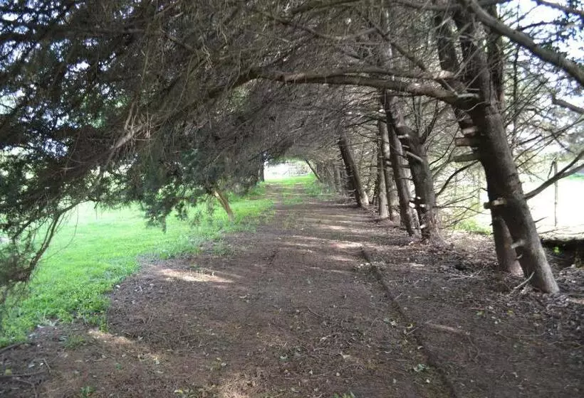 Aamiaismajoitus (B&B) El Tramway Casa Antigua De Campo