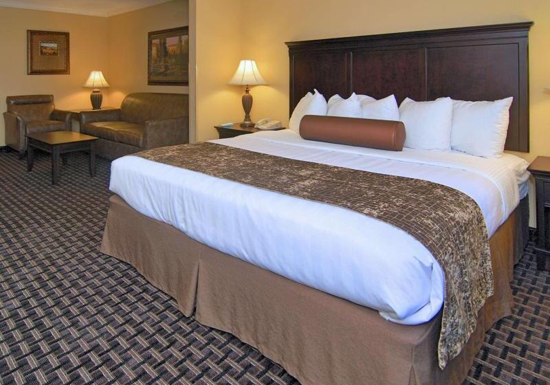 هتل Best Western Plus Southpark Inn & Suites