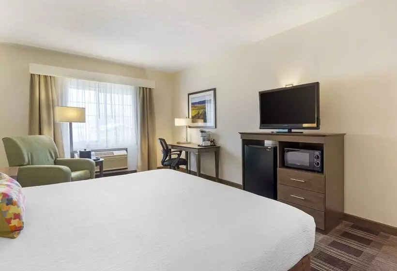 酒店 Best Western Plus The Inn At Horse Heaven