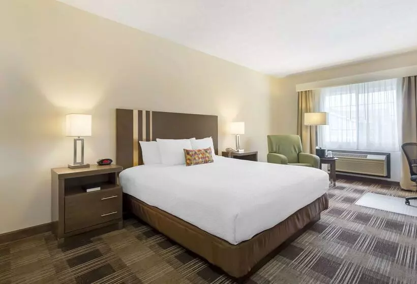 酒店 Best Western Plus The Inn At Horse Heaven