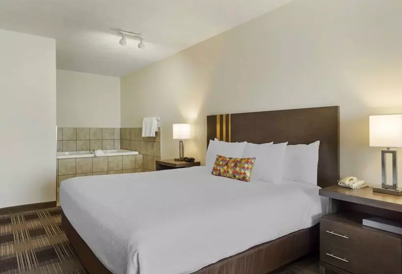 酒店 Best Western Plus The Inn At Horse Heaven