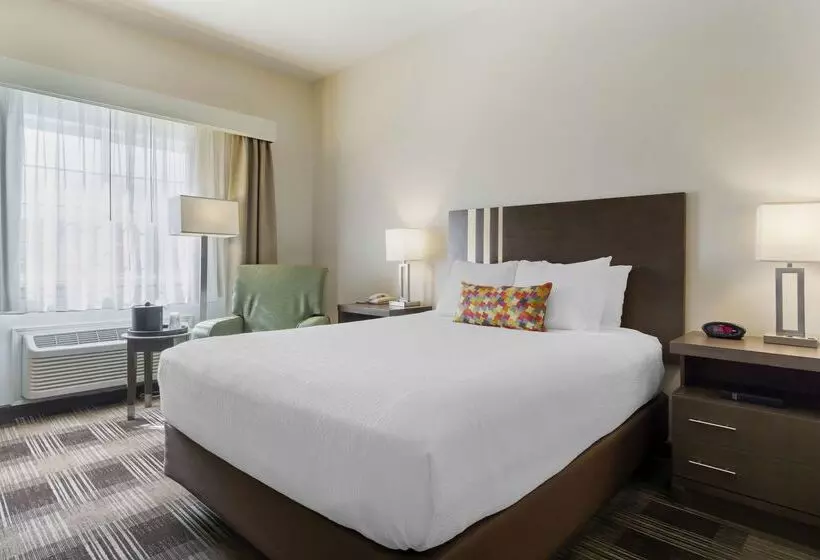 酒店 Best Western Plus The Inn At Horse Heaven