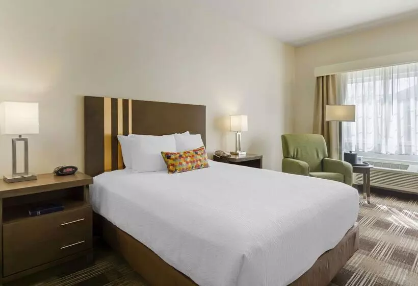 酒店 Best Western Plus The Inn At Horse Heaven