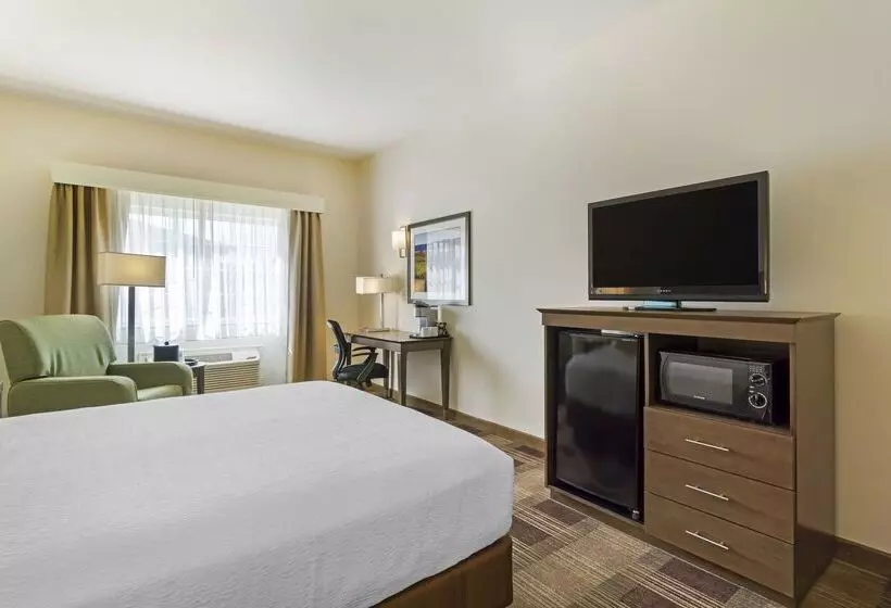 酒店 Best Western Plus The Inn At Horse Heaven