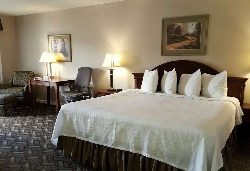 酒店 Best Western Suites