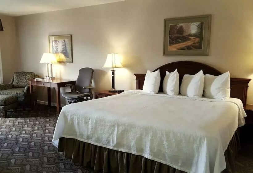 호텔 Best Western Suites