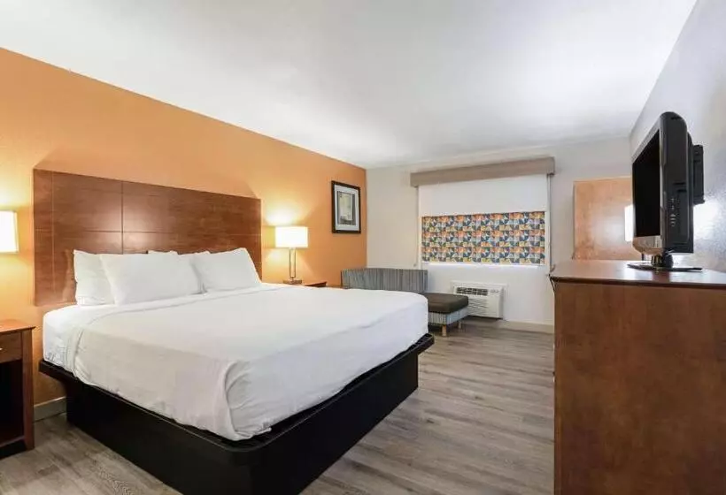 Отель Best Western U. S. Inn