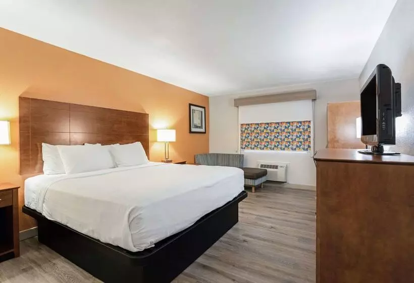 Отель Best Western U. S. Inn