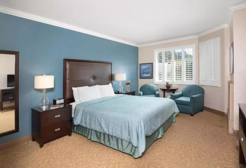 酒店 Blue Dolphin Inn