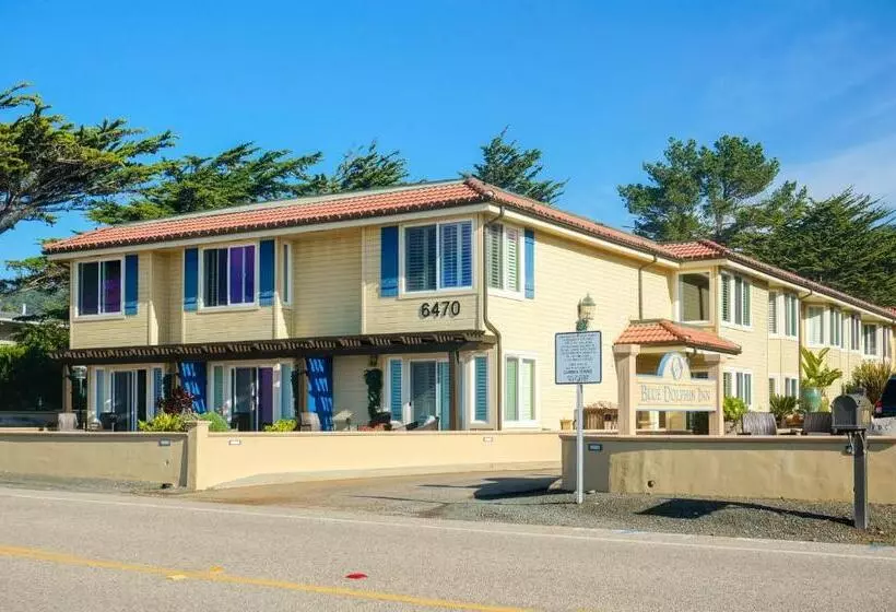 酒店 Blue Dolphin Inn
