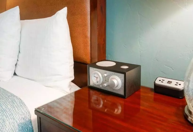 酒店 Blue Dolphin Inn