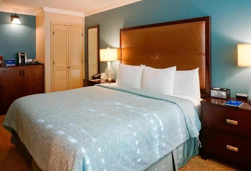 酒店 Blue Dolphin Inn