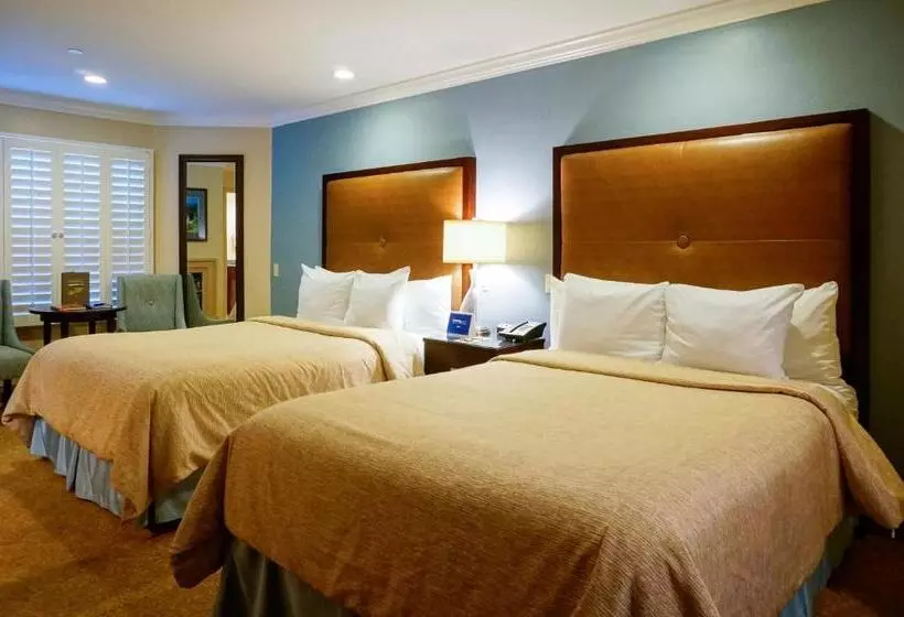 酒店 Blue Dolphin Inn