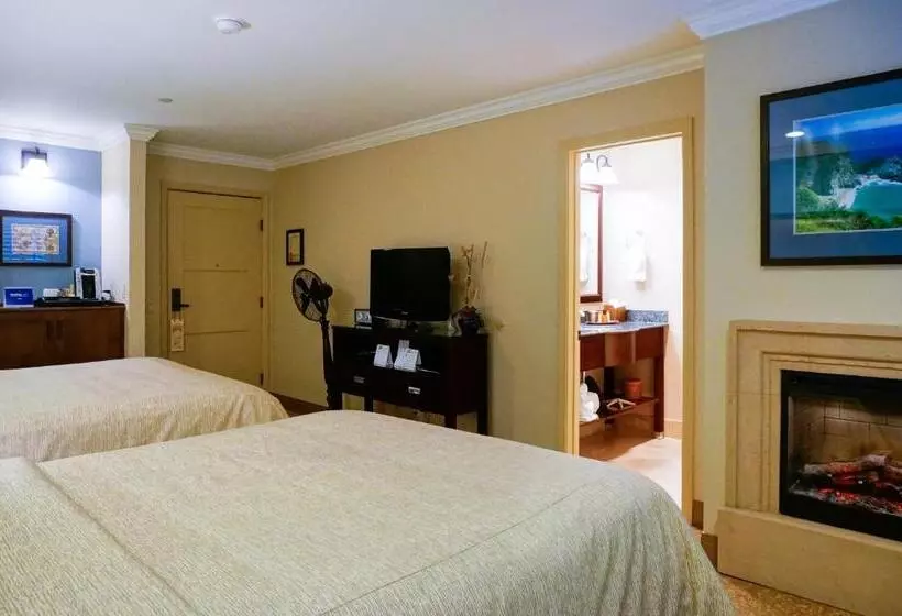 酒店 Blue Dolphin Inn