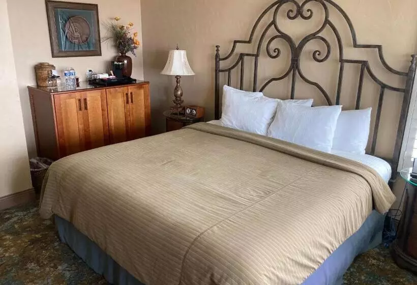 酒店 Blue Dolphin Inn