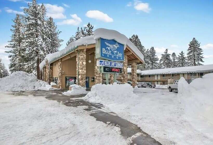 فندق Blue Jay Lodge