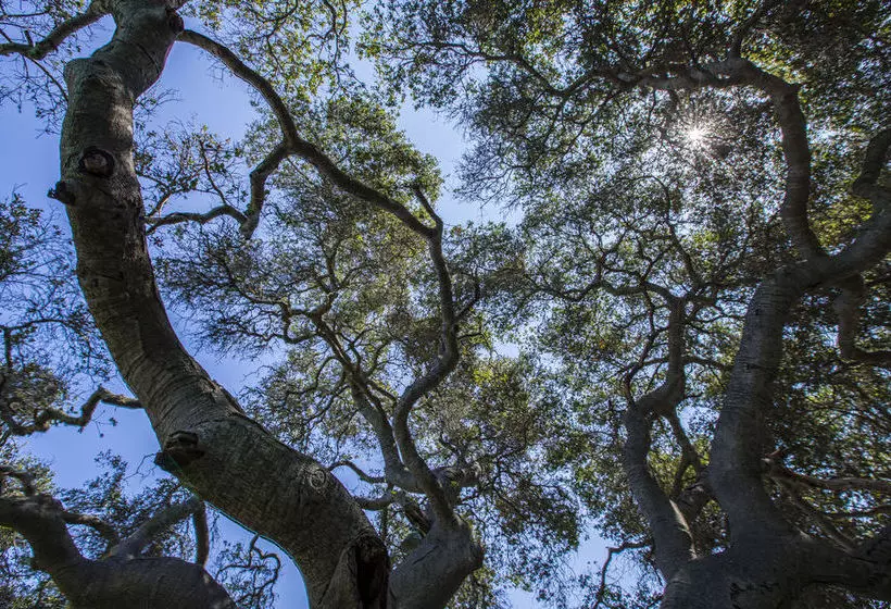 호텔 Blue Sky Lodge