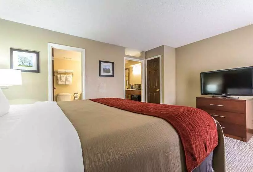 فندق Comfort Inn & Suites