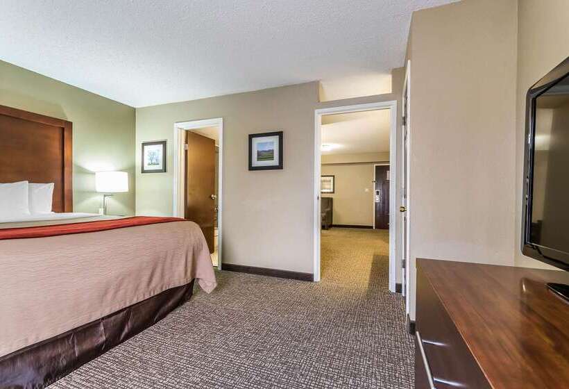 בית מלון כפרי Comfort Inn & Suites