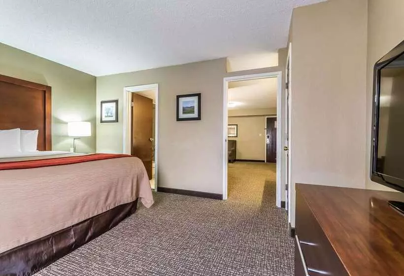 فندق Comfort Inn & Suites