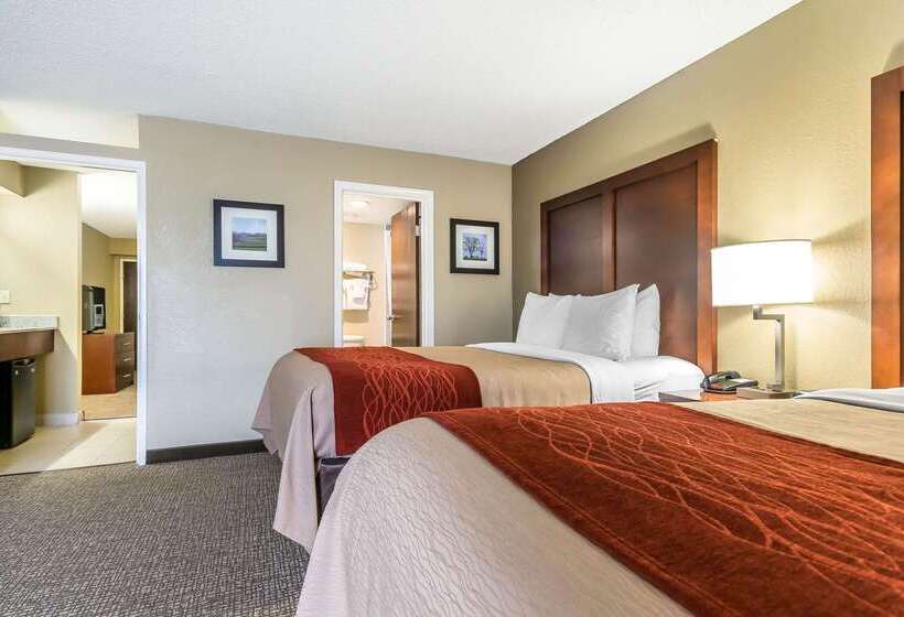 בית מלון כפרי Comfort Inn & Suites