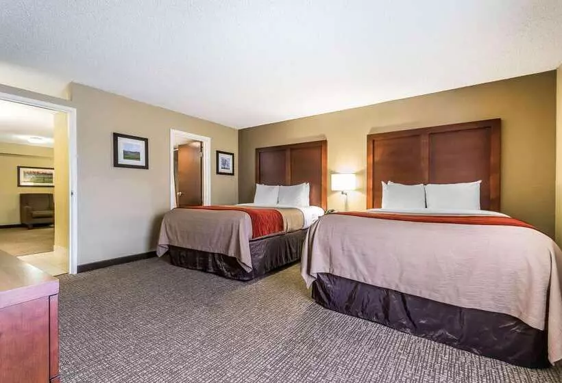فندق Comfort Inn & Suites