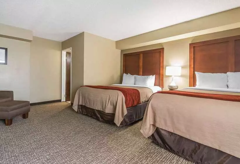 فندق Comfort Inn & Suites
