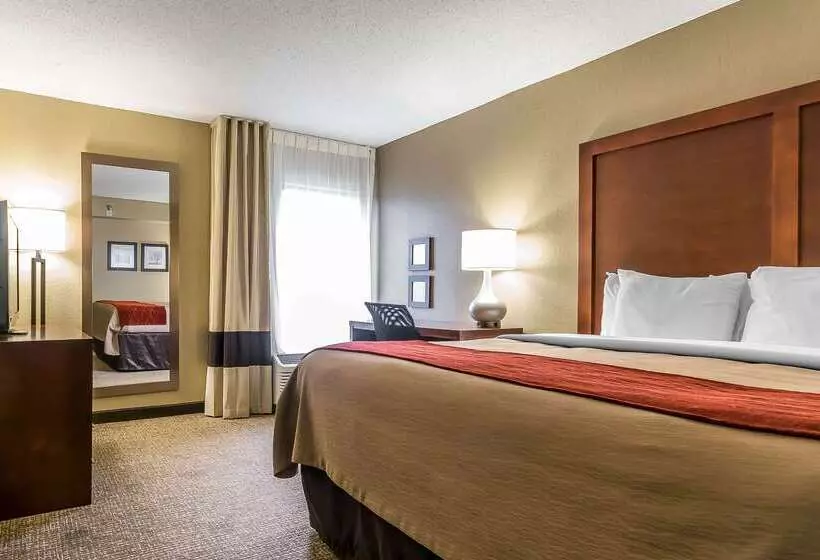 فندق Comfort Inn & Suites