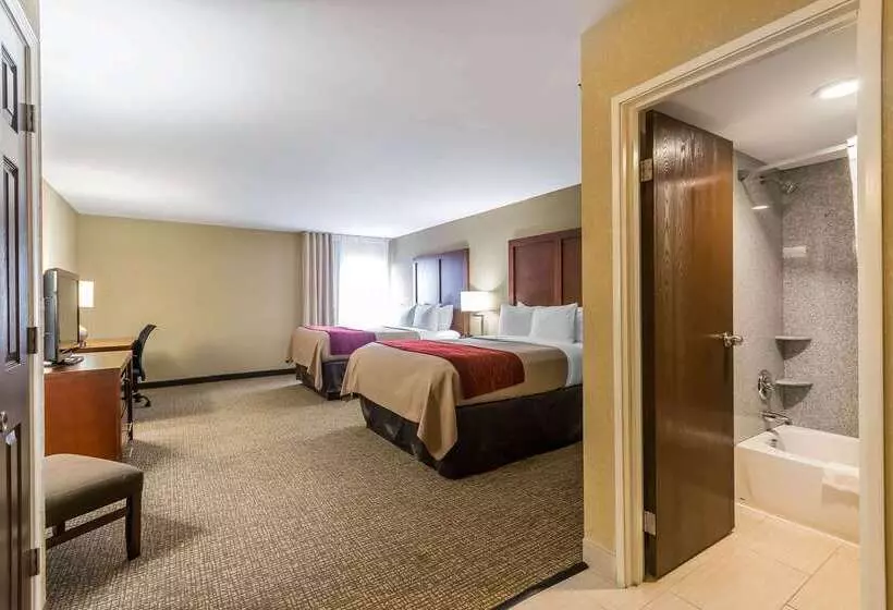 فندق Comfort Inn & Suites
