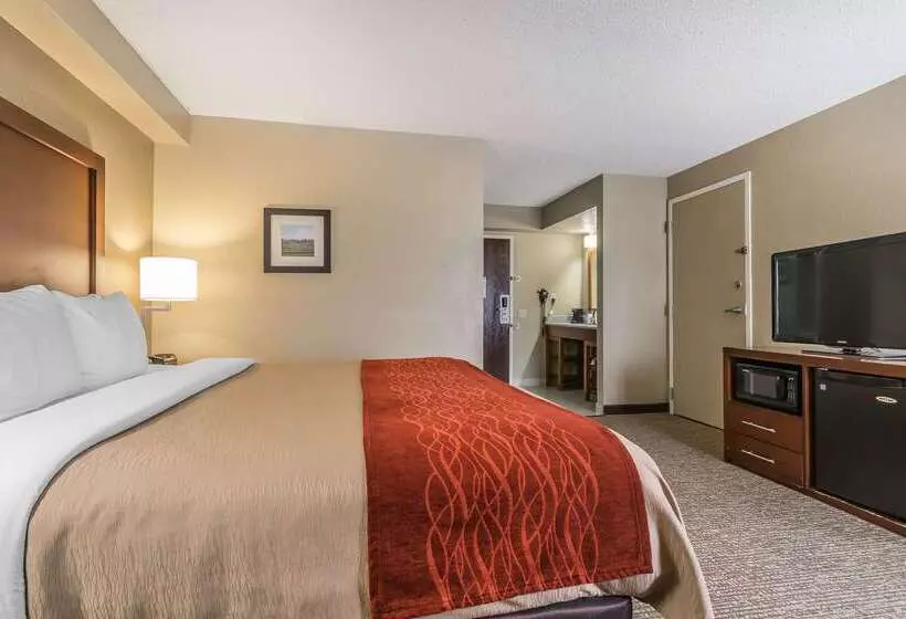 فندق Comfort Inn & Suites