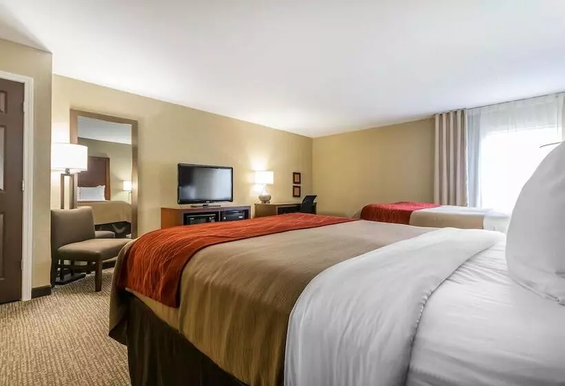 فندق Comfort Inn & Suites